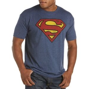 Superman Logo Blue T-Shirt, Size Large
